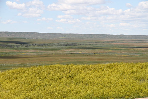 park nationalpark prairie saskatchewan grasslands grasslandsnationalpark vacation2011
