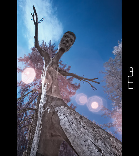 ny newyork man tree art museum landscape ir infrared nik katonah rebelxt photomo 665nm mikeorso