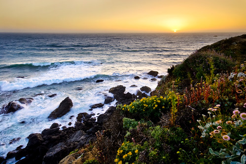 ocean california flowers sunset sea seascape beach landscape nikon rocks waves hard sigma lee nd d200 1020mm bodegabay graduated gnd