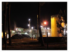 Work in the Night