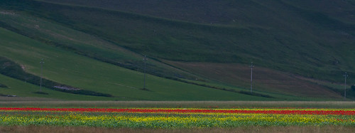 italy nature canon colours 70200 umbria castelluccio colorphotoaward ringexcellence