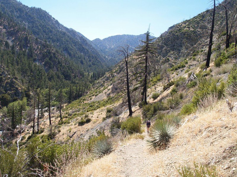Looking back up-canyon toward Stonehouse Crossing as the trail climbs higher to join the main trail
