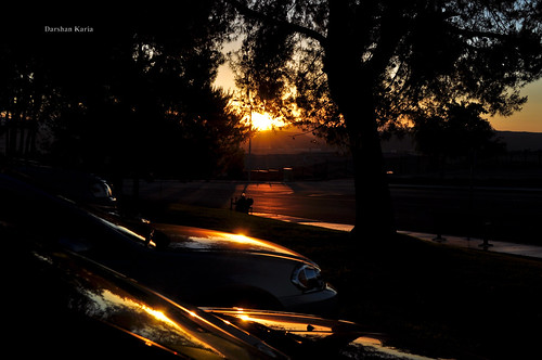 morning tree cars sunrise motel6
