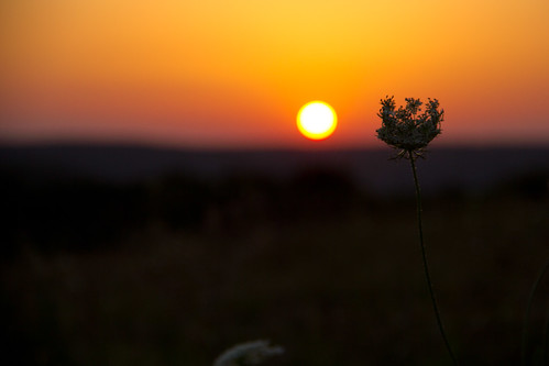 sunset sun set canon dawn background country bulgaria fields bg countrylife sumen shumen 550d eos550d salvabarbera