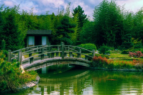 travel bridge nature garden landscape japanesegarden washington pond bamboo