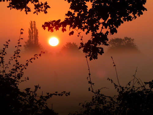 morning england orange sun mist fog sunrise early leicestershire
