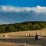 Hay-Field