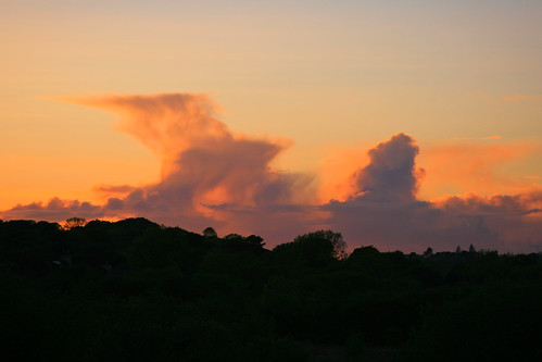 uk light sunset red sky orange cloud tree silhouette wales evening snowdonia