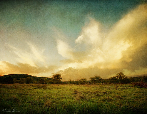 sunset sky painterly texture clouds sunrise landscape golden texashillcountry memoriesbook virtuallysupine sienna62 timinohio rentedochan hillcountrycameraclub