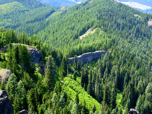 trees valley rockwall ridges