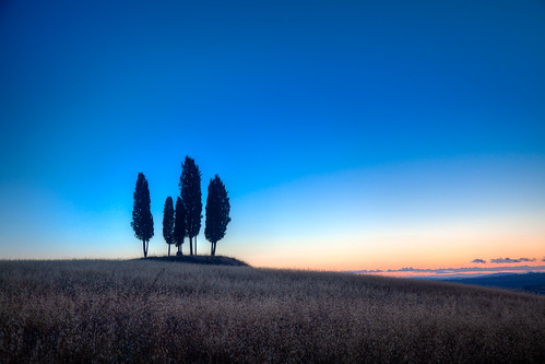 italy silhouette vertical sunrise landscape outdoors photography nopeople clear copyspace agriculture idyllic scenics clearsky cypresstree gregweeks tranquilscene colorimage moodysky beautyinnature sanquiricodorcia italianculture twtmeiconoftheday