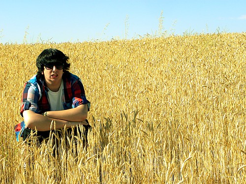 summer verano trigo