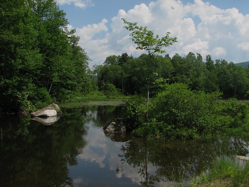 landscape pond vermont
