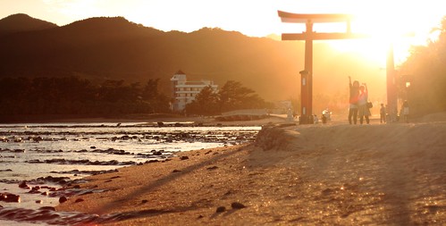 sunset beach japan heaven shore miyazaki 日本 torii kyushu aoshima afterlife 九州 青島 宮崎県 aoshimajinja 青島神社 鬼の洗濯板 n31485　e1312840