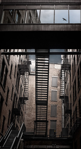 door city windows sky urban building brick bird landscape stair escape gull courtyard walkway ladder