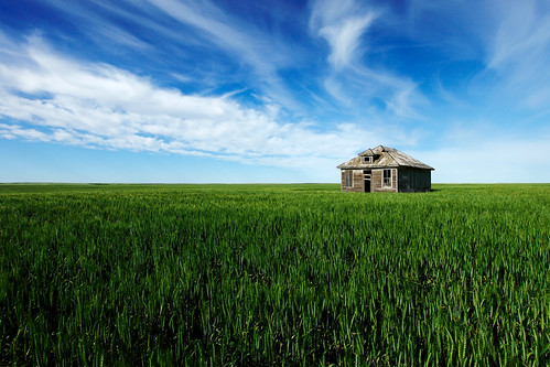 old blue sky house west green abandoned broken beautiful field grass clouds rural montana mt farm wheat country rustic meadow nobody havre american lonely homestead prairie copyspace pastoral idyllic surrounded isolated stockphoto horizonal stockphotography hillcounty colorimage horizonoverland toddklassy montanadocumentaryphotographer