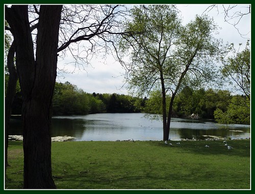 park trees green water grass wisconsin landscape zoo peaceful milwaukee serene waterside picnik waterscene