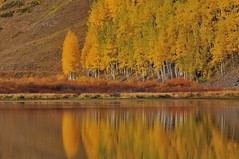 Colorado Fall Colors