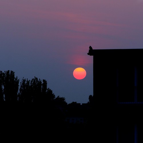 sky orange sun silhouette contrast sunrise himmel sonne kontrast sonnenaufgang scherenschnitt