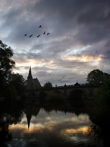 morning bridge cloud reflection bird church sunrise river dawn early flight calm severn shrewsbury spire swans tranquil