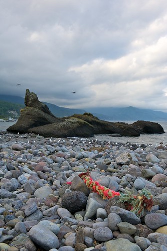 ocean rock landscape day outdoor seagull rope coastline