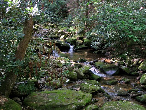 water rock creek geotagged nc moss stream barnardsville usfs 2011 licken bigivy melystu