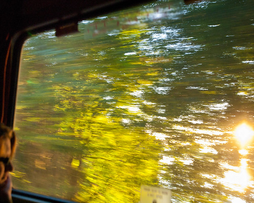 trees summer vacation blur green window train washington motionblur amtrak cascades wa dreamy samantha goldenhour sammi 2011