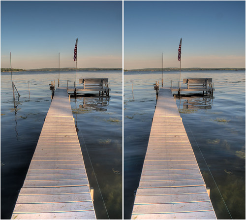 plants lake ny stereoscopic stereophotography 3d dock upstate upstateny lakeside handheld chacha hdr chautauqua 3dimensional crossview bemuspoint bemus crosseyedstereo 3dphotography chautauqualake chautauquacounty 3dstereo