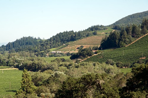 Sonoma County landscape