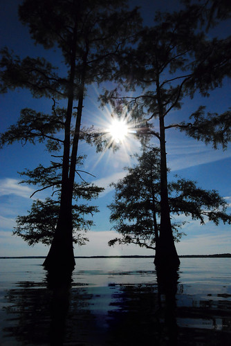 sun lake nature silhouette clouds louisiana bluesky cypress caddolake oilcity