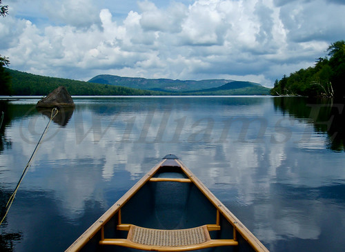 summer lake newyork landscape pond places flyfishing canoeing activities taylorpond adirondackmtns