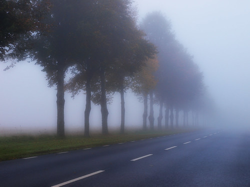 road trees fog landscape sweden country olympus kinna e520 olympuse520 peternyhlén mygearandme photoshopelements9 musictomyeyeslevel1