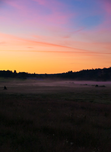 morning light sky sun color colour field misty forest sunrise landscape sweden meadow fritsla frissla