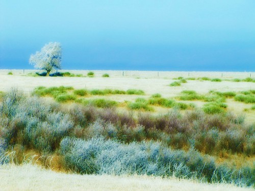 rural frost hoarfrost sage kansas agriculture enhanced yucca atwood us36