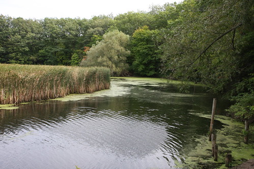 park usa lake ny newyork water pond state niagara wilson region tuscora