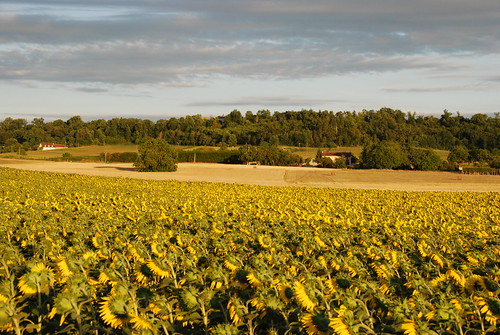 france nature field champagne crops pastures campaign