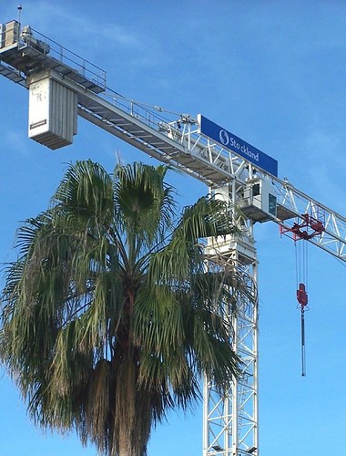 tree construction crane palm flattop townsville hammerhead towercrane stockland comedil