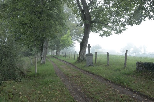 mist france nature fog landscape nikon nikkor corrèze landschap ruc sooc d7000 18105mmvr soocus pjerry