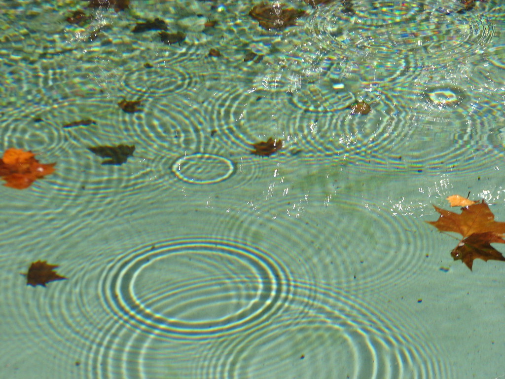 Des ronds dans l'eau