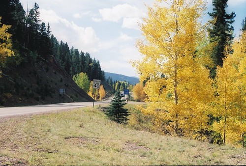 newmexico carsonnationalforest autumnaspens