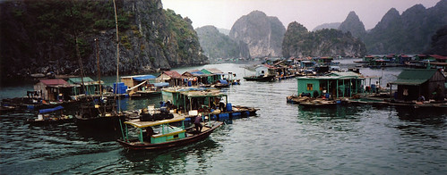 Cat Ba floating village, Halong Bay