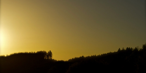 sunset landscape campagne forêt bois boisnoirs