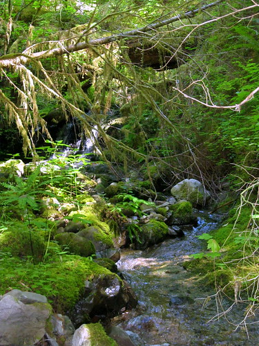 streams willamettenorthfork