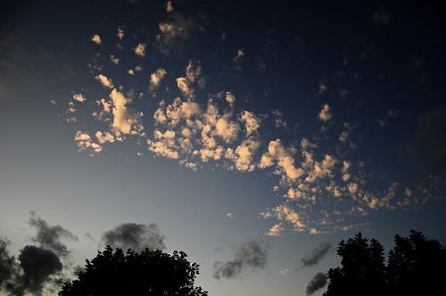 trees sunset sky sun clouds outside evening nikon nikkor d90 nikond90 nikongraphy lomostream