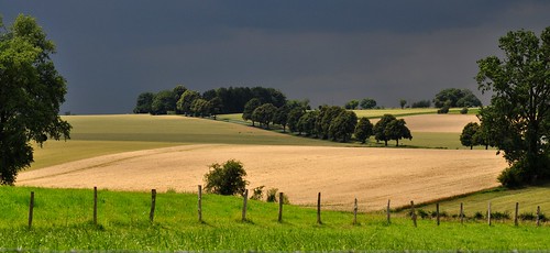 blue trees light sky sun sunlight green nature netherlands rain landscape licht natur himmel grün blau landschaft bäume nationalgeographic niederlande sonnenlicht 100commentgroup doubleniceshot tripleniceshot mygearandme 4timesasnice 6timesasnice 5timesasnice 7timesasnice