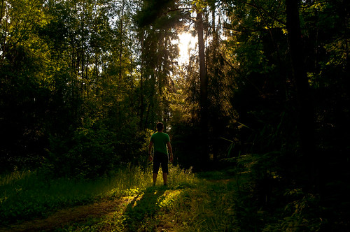 wood man green forest karlstad skog alster silouhette alsterån ginordic1