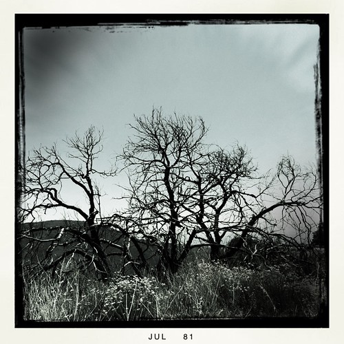 hipstamatic blackeysbwfilm mattyalnlens