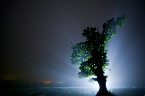 mist green field fog backlight night dark landscape torch silohette lightpaint vass