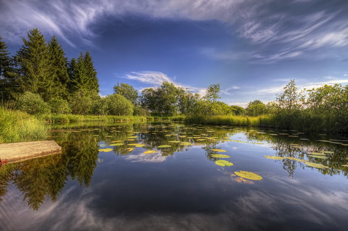 canon eos 7d sigma 1020mm hdr photomatix nature paysage landscape etang eau water france franchecomté frasne reflets reflection philippesaire sky nuages clouds wideangle pwpartlycloudy day photo photography ciel