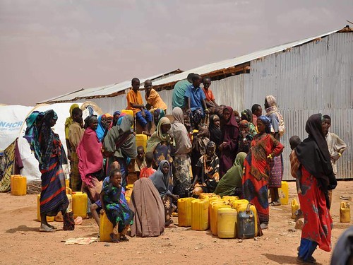 Somalis collect drinking water